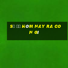 số đề hôm nay ra con gì