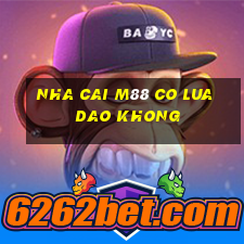 nha cai m88 co lua dao khong