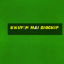 Khuyến Mãi Bigchip