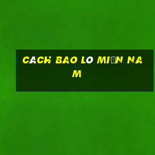 cách bao lô miền nam