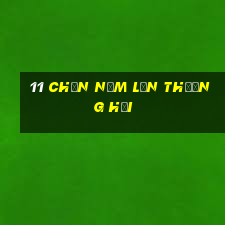 11 Chọn Năm Lợn Thượng Hải