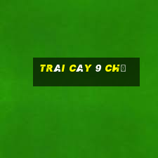 Trái cây 9 chỉ