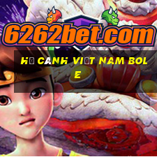 Hạ cánh Việt nam Bole