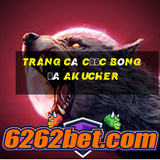 trang cá cược bóng đá akucher