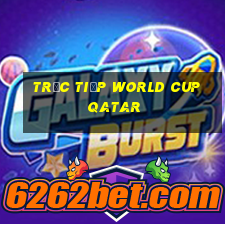 trực tiếp world cup qatar