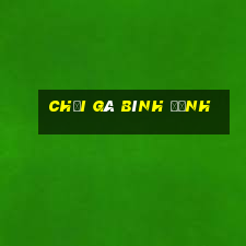 chọi gà bình định