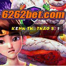 Kênh thể thao số 1