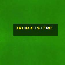 Triệu xổ số tóc