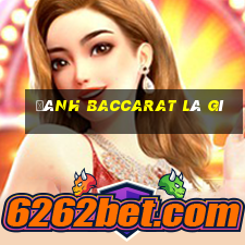 đánh baccarat là gì