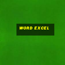 word excel