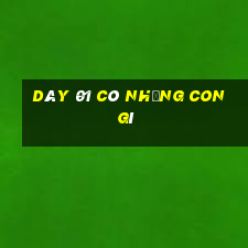 dây 01 có những con gì