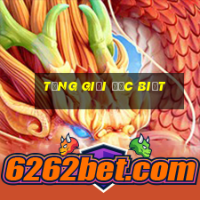 tổng giải đặc biệt