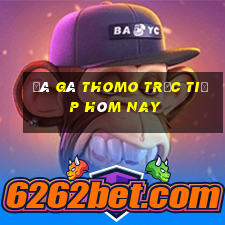 đá gà thomo trực tiếp hôm nay