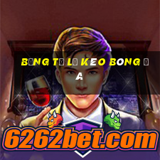 bảng tỷ lệ kèo bóng đá