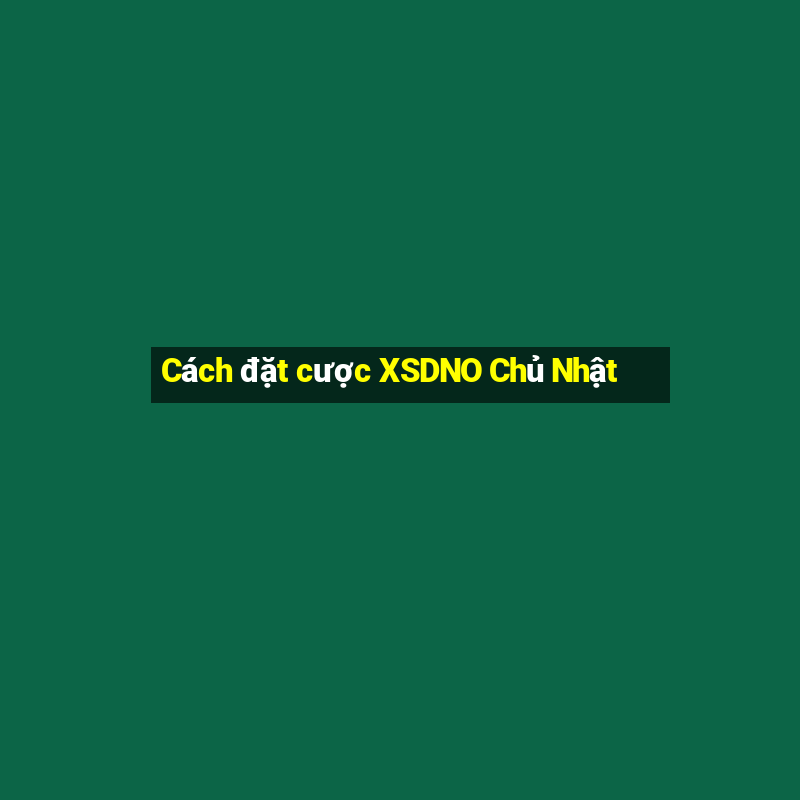 Cách đặt cược XSDNO Chủ Nhật