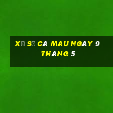 xổ số cà mau ngày 9 tháng 5