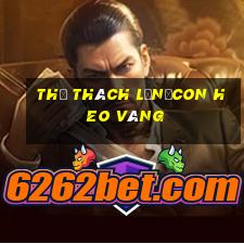 Thử Thách Lớn・Con Heo Vàng