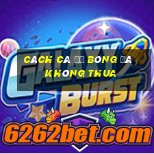 cách cá độ bóng đá không thua