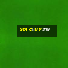 Soi Cầu F319