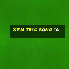 xem trực bóng đá