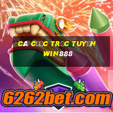 Cá cược trực tuyến win888