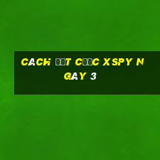 Cách đặt cược XSPY ngày 3