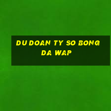 du doan ty so bong da wap