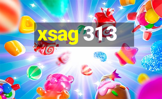 xsag 31 3