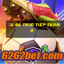 đa ga truc tiep thomo