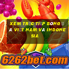 xem trực tiếp bóng đá việt nam và indonesia