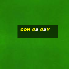 con gà gáy