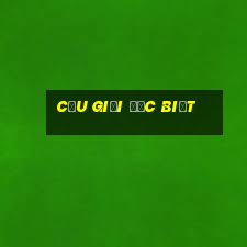 cầu giải đặc biệt