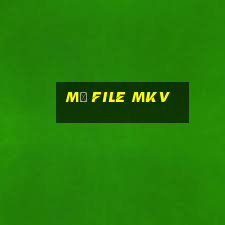 mở file mkv