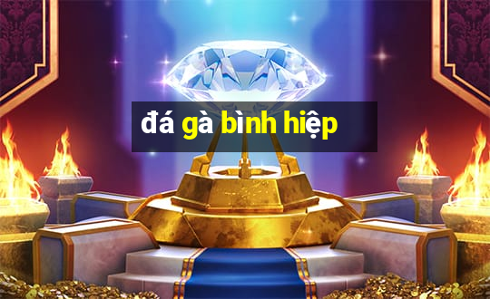 đá gà bình hiệp