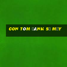 con tôm đánh số mấy