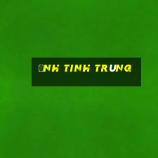 ảnh tinh trùng