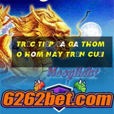 trực tiếp đá gà thomo hôm nay trận cuối