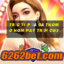 trực tiếp đá gà thomo hôm nay trận cuối