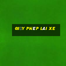 giấy phép lái xe