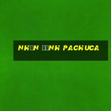 nhận định pachuca