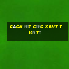 Cách đặt cược XSNT thứ tư