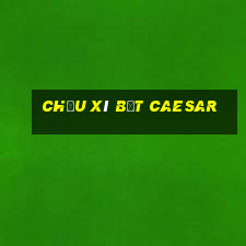 chậu xí bệt caesar