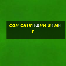 con chim đánh số mấy