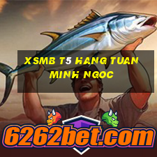 xsmb t5 hang tuan minh ngoc