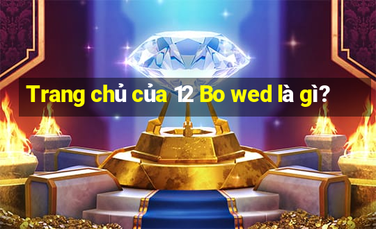 Trang chủ của 12 Bo wed là gì?