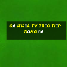 cà khịa tv trực tiếp bóng đá