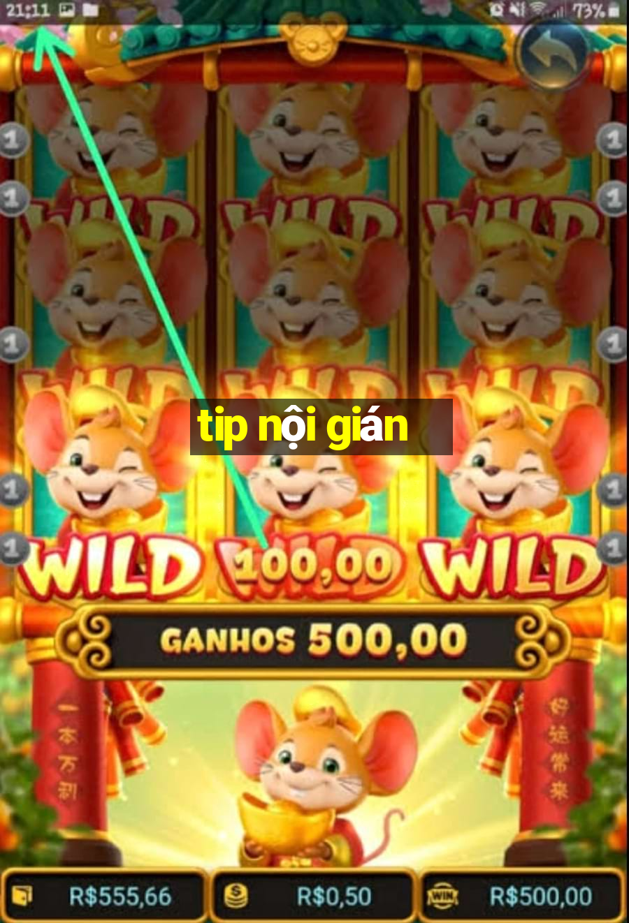 tip nội gián