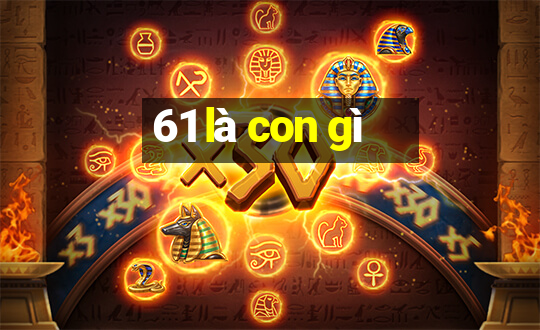 61 là con gì