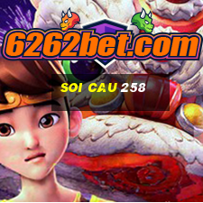 soi cau 258