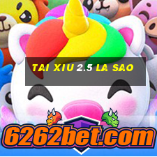 tai xiu 2.5 la sao